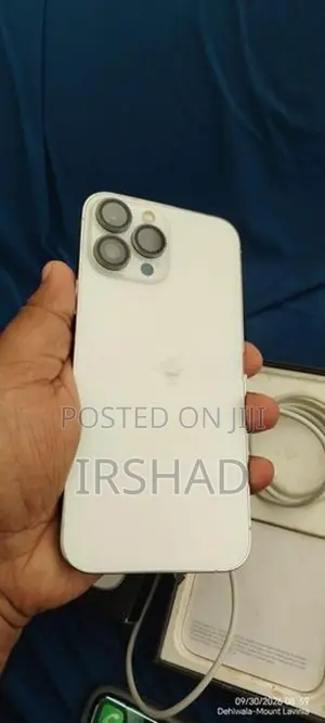 Apple iPhone 13 Pro Max (Used)