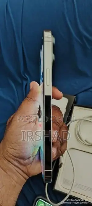 Apple iPhone 13 Pro Max (Used)