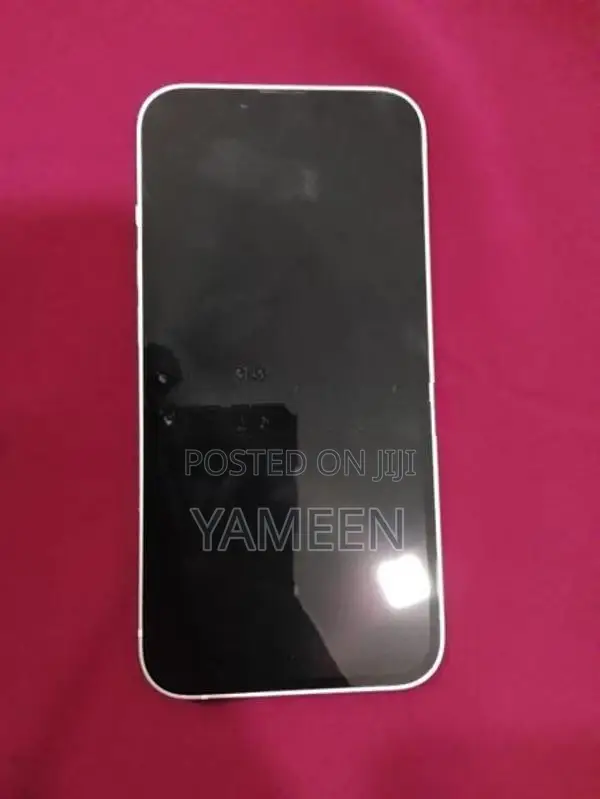 Apple iPhone 13 (Used)