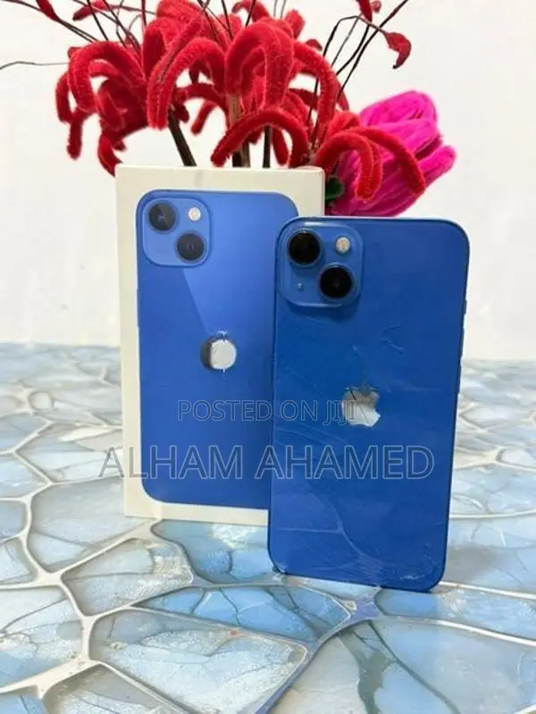 Apple iPhone 13 (Used)
