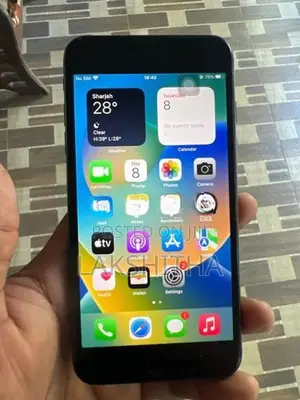 Apple iPhone 8 Plus 256GB (Used)