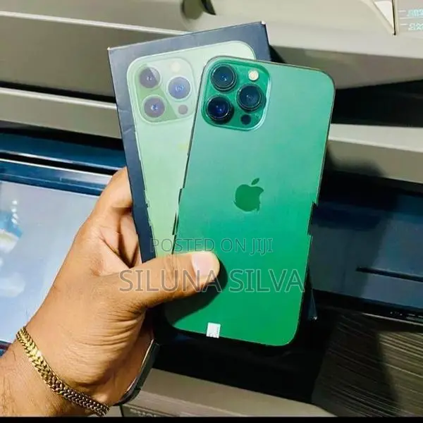 Apple iPhone 13 Pro Max (Used)