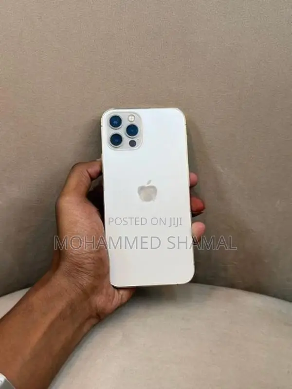 Apple iPhone 12 Pro 256GB (Used)
