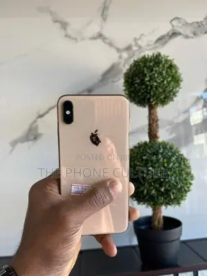 Apple iPhone XS Max 256GB (Used)