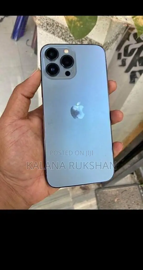 Apple iPhone 13 Pro Max 256GB (Used)