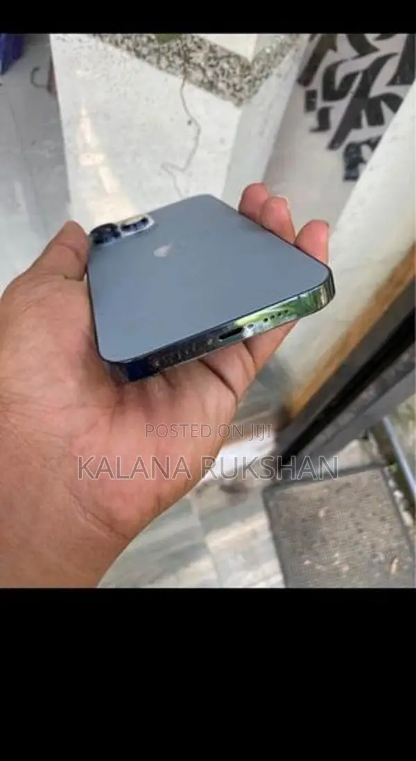 Apple iPhone 13 Pro Max 256GB (Used)