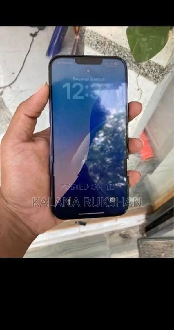 Apple iPhone 13 Pro Max 256GB (Used)