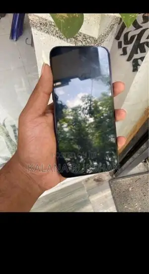 Apple iPhone 13 Pro Max 256GB (Used)