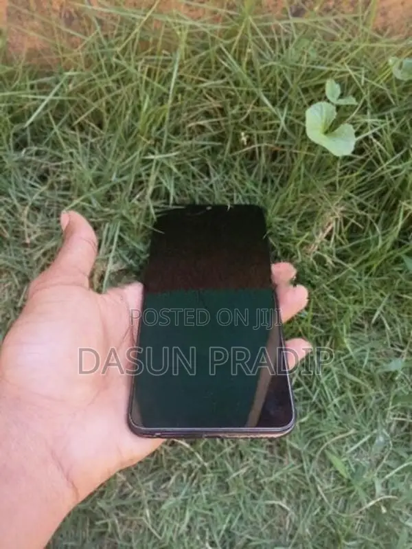 Vivo (Used)
