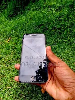 Apple iPhone 8 (Used)