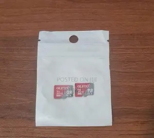 128 GB SD Cards × 2