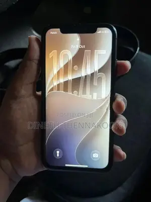 Apple iPhone 11 64 GB (Used)