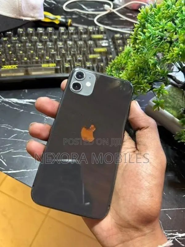Apple iPhone 11 256GB (Used)
