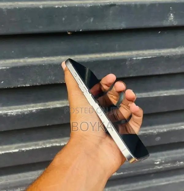 Apple iPhone 15 Pro Max (Used)