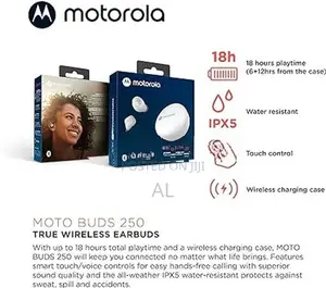 Motorola EarBuds 250
