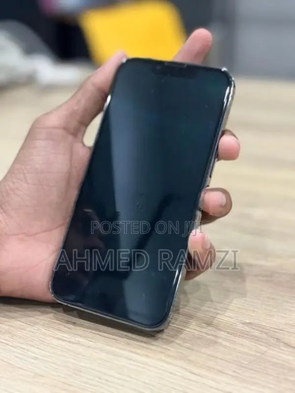 Apple iPhone 13 Pro (Used)
