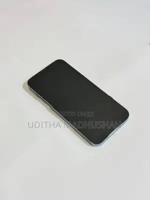 Apple iPhone 13 Pro Max (Used)