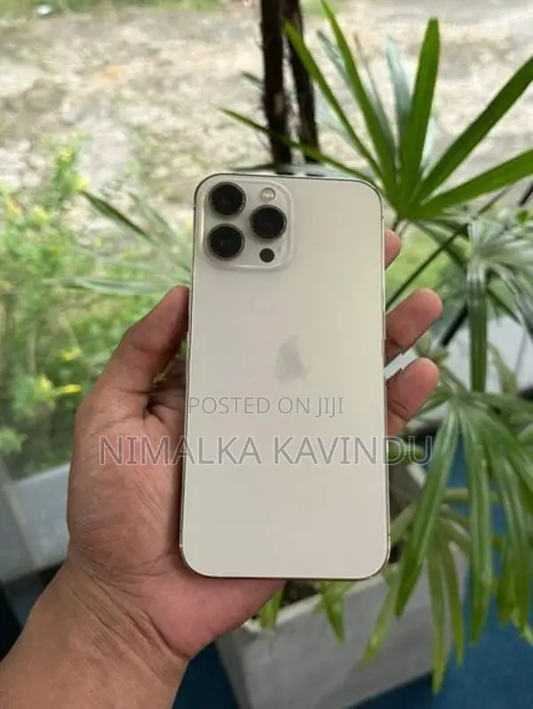Apple iPhone 13 Pro Max (Used)