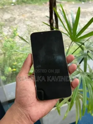 Apple iPhone 13 Pro Max (Used)