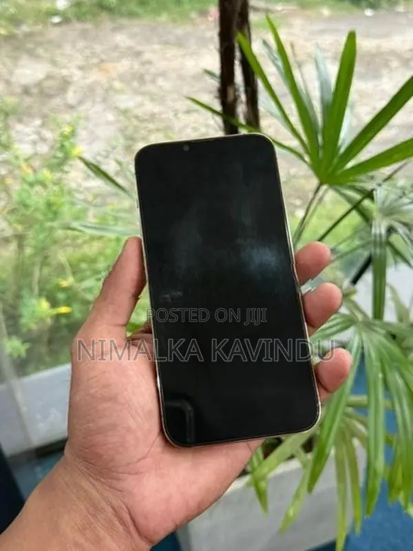 Apple iPhone 13 Pro Max (Used)