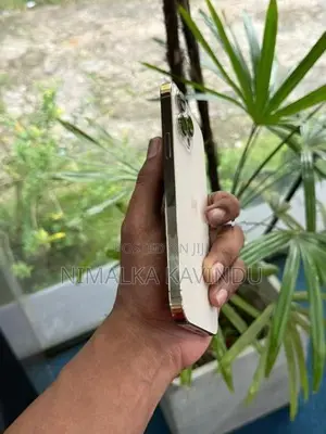Apple iPhone 13 Pro Max (Used)