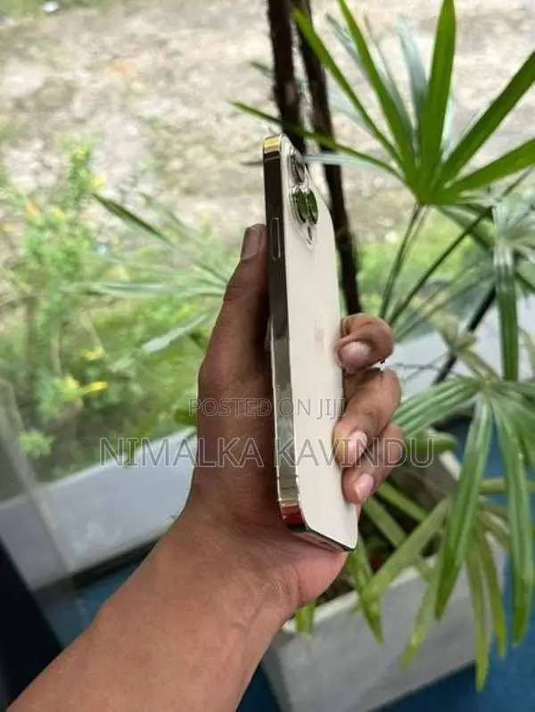 Apple iPhone 13 Pro Max (Used)