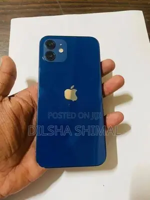 Apple iPhone 12 (Used)