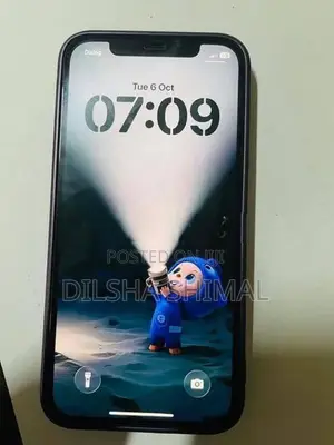 Apple iPhone 12 (Used)