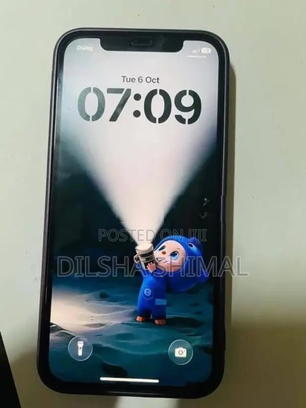 Apple iPhone 12 (Used)