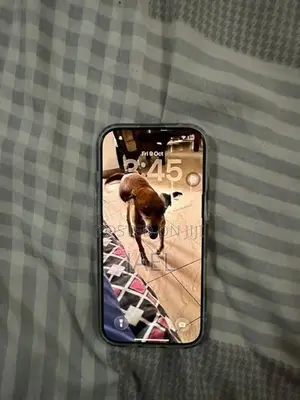 Apple iPhone 17 (Used)