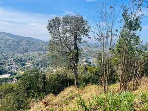 Mountain Land for Sale – Breathtaking Views Kandy