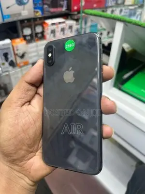 Apple iPhone X 256GB (Used)