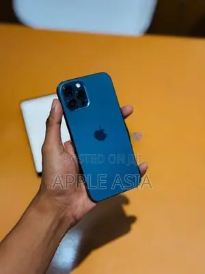 Apple iPhone 12 Pro Max 256GB (Used)
