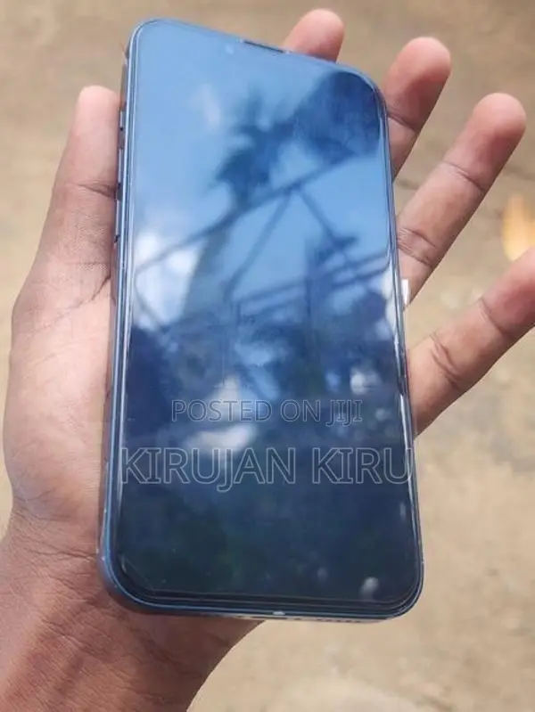 Apple iPhone 13 (Used)