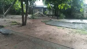 6 Purchase Land in Boralesgamuwa