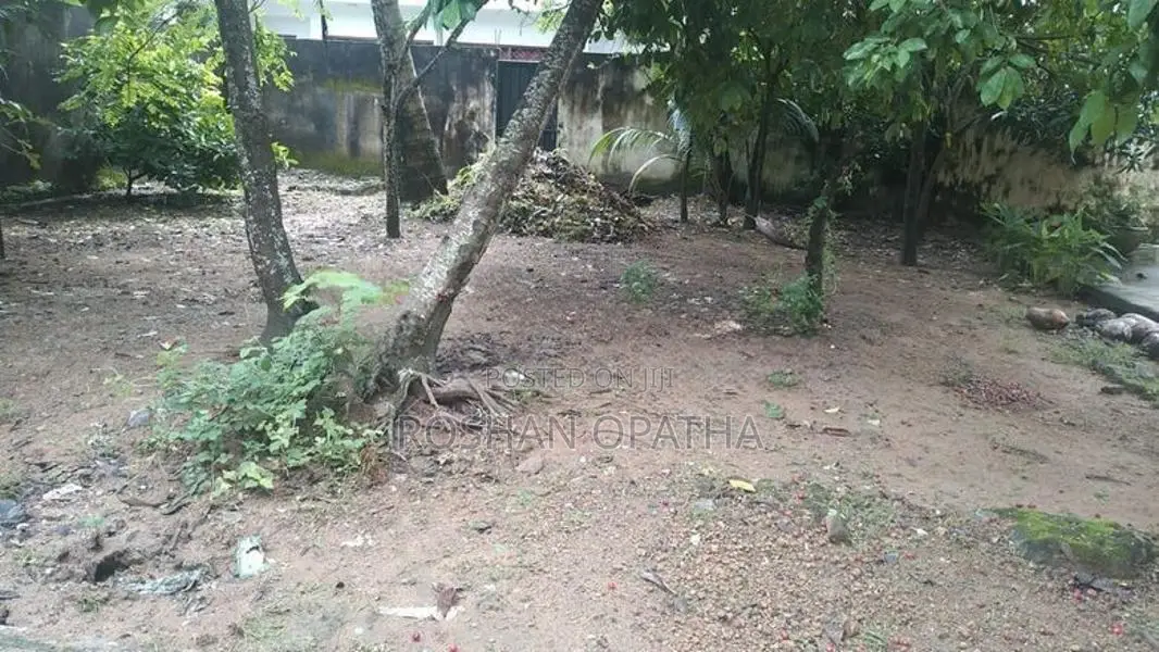 6 Purchase Land in Boralesgamuwa