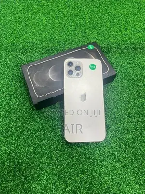 Apple iPhone 12 Pro 256GB (Used)