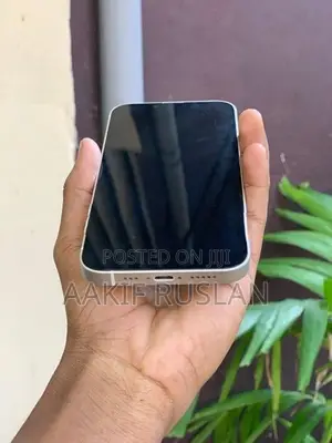 Apple iPhone 13 (Used)