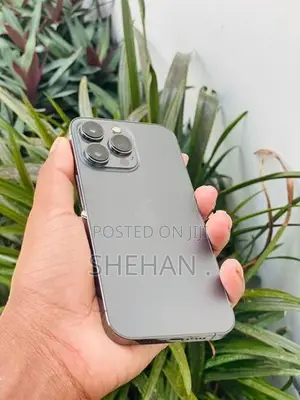 Apple iPhone 13 Pro (Used)