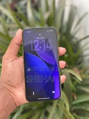Apple iPhone 13 Pro (Used)