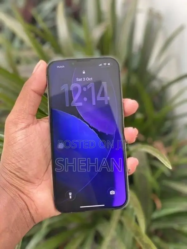 Apple iPhone 13 Pro (Used)