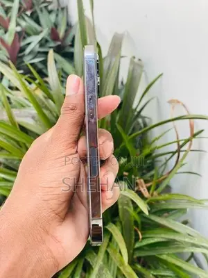 Apple iPhone 13 Pro (Used)