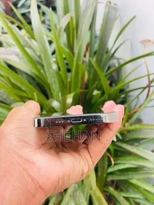 Apple iPhone 13 Pro (Used)