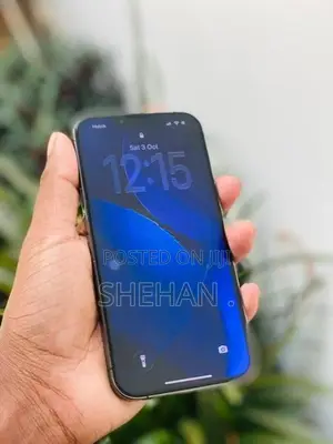 Apple iPhone 13 Pro (Used)