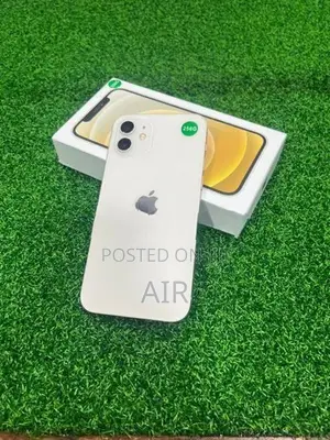 Apple iPhone 12 256GB (Refurbished)