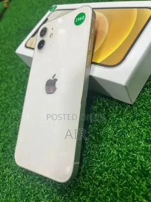 Apple iPhone 12 256GB (Refurbished)