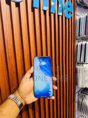 Apple iPhone 17 Pro Max (Used)