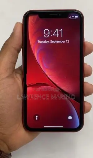 Apple iPhone XR Standard (Used)