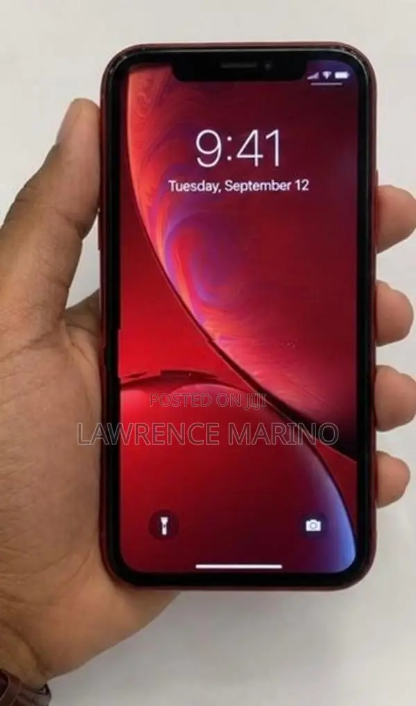 Apple iPhone XR Standard (Used)