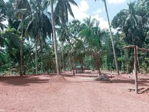 Land for Sale in Mirigama